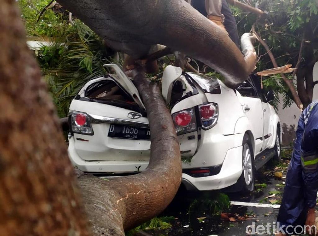 Hujan Badai di Cianjur, Mobil-Motor Tertimpa Pohon Tumbang