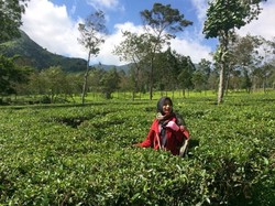 Sebelum ke Dieng, Coba Mampir ke Spot Cantik Ini