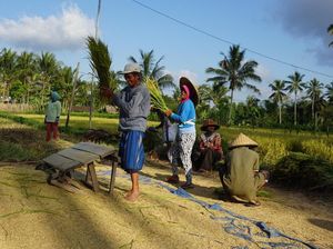 Cara Warga Kembang Kuning Bangkitkan Pariwisata Pascagempa Lombok