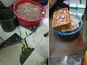 Hi..! Katering Penuh Kecoa dan Lalat Ini Didenda Rp 51 Juta