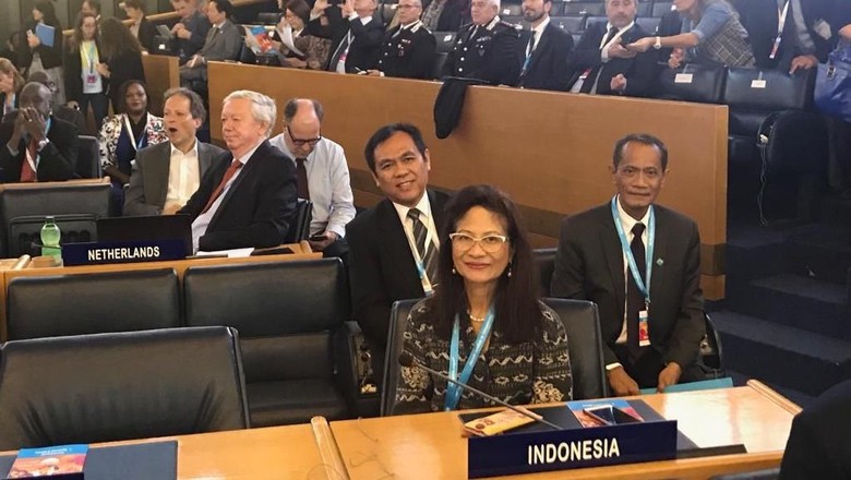 Sidang Ketahanan Pangan Global, RI Sampaikan Kebijakan Tingkatkan Kesetaraan