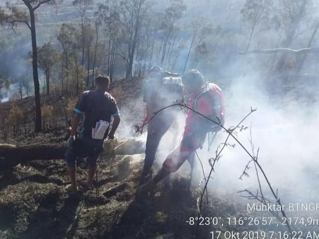 Hutan di Gunung Rinjani Terbakar, Pendaki Diminta Waspada Hutan di Gunung Rinjani Terbakar, Pendaki Diminta Waspada