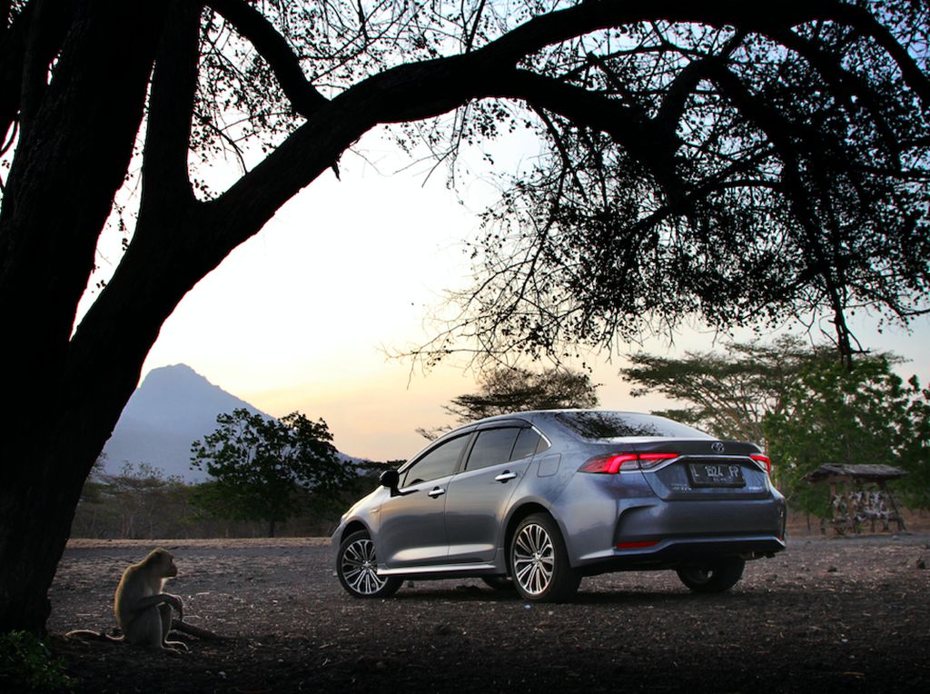 Harga Mobil Sedan Bisa Lebih Murah 2 Tahun Lagi? Harga Mobil Sedan Bisa Lebih Murah 2 Tahun Lagi?