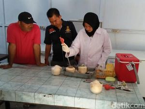 Produsen Minuman Kelapa Muda Jelly Berformalin Digerebek