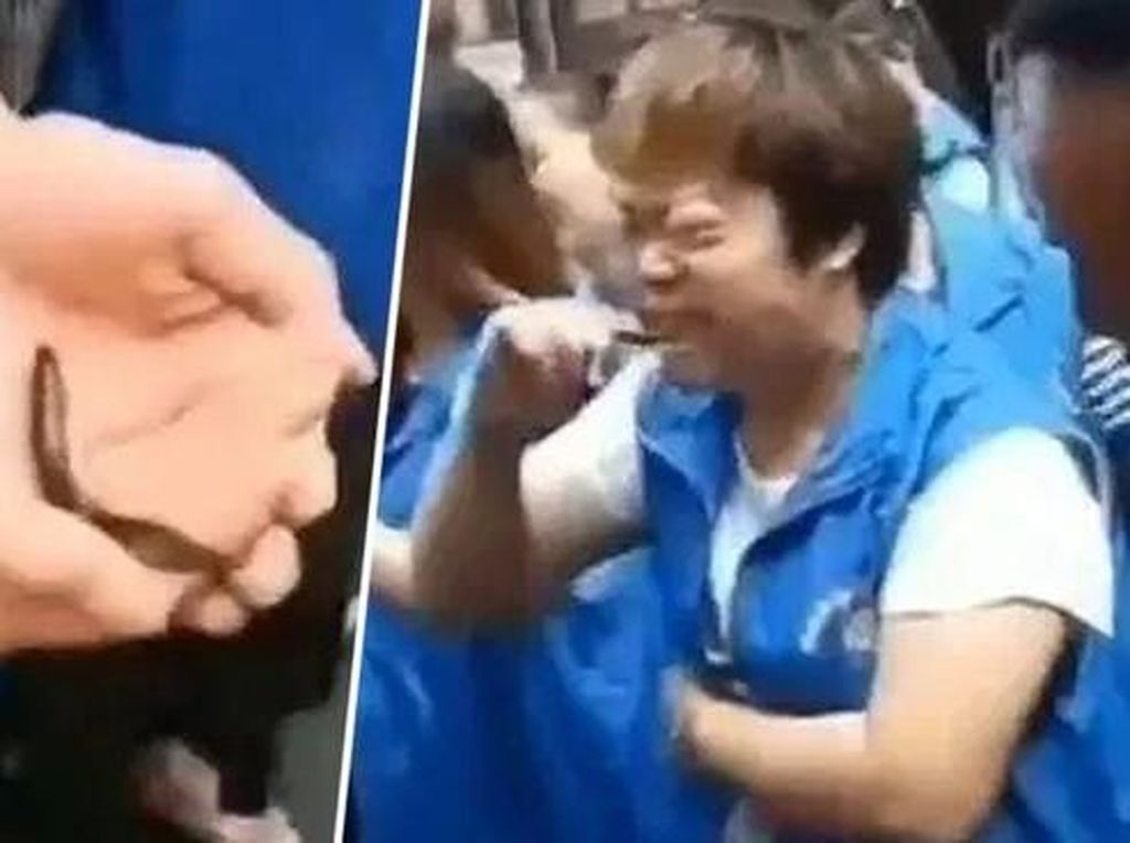 Makan Ikan Hidup hingga Sampah, 5 Kisah Dipaksa Makan Ini Miris Banget Makan Ikan Hidup hingga Sampah, 5 Kisah Dipaksa Makan Ini Miris Banget