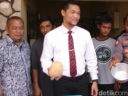 Tak Ada Unsur Pidana di Video Viral Kucing Dicekoki Ciu, Perekam Hanya Dibina