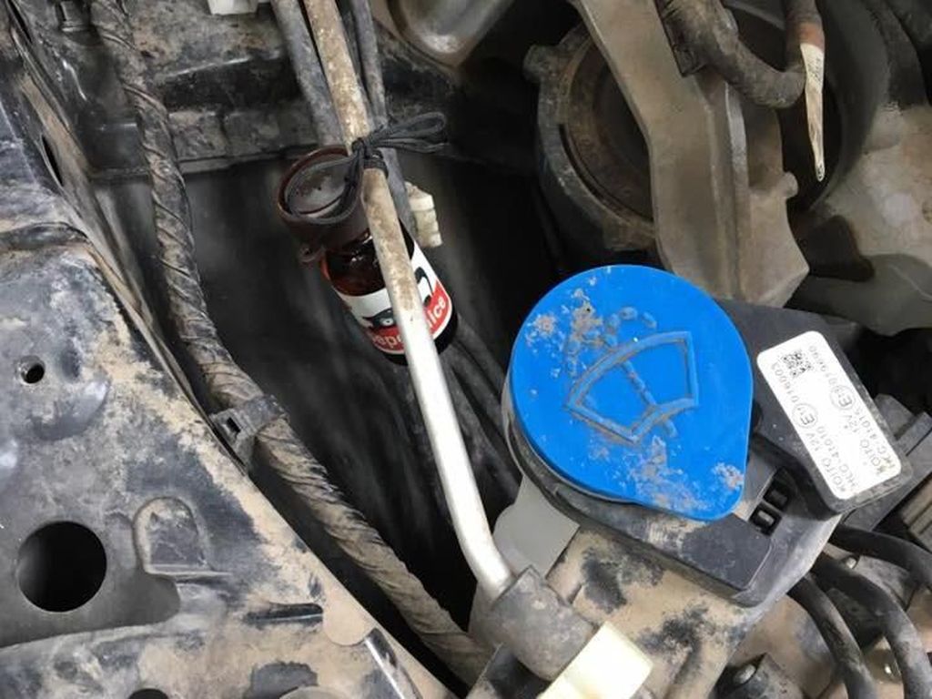 Hiii...Tikus Bersarang di Mobil Bisa Bikin Mesin Rusak Hiii...Tikus Bersarang di Mobil Bisa Bikin Mesin Rusak