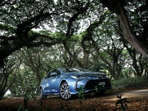Toyota Corolla Hybrid Model Baru Meluncur Tahun Depan