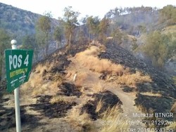 Cuaca Ekstrem, BMKG Ingatkan Potensi Karhutla di NTB