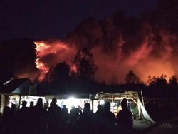 Gunung Ranti di Banyuwangi Terbakar Hebat