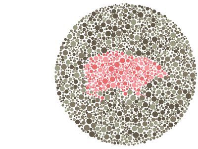 Bisa Tebak Siluet Hewan-hewan Imut Ini? Berarti Mata Kamu Masih Bagus!