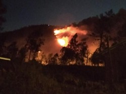 Diduga Ada 4 Pendaki Terjebak di Kebakaran Hutan Gunung Ranti