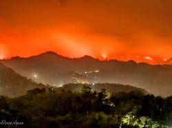 Lereng Gunung Argopuro Kembali Terbakar, Dua Tim Dikerahkan ke Lokasi