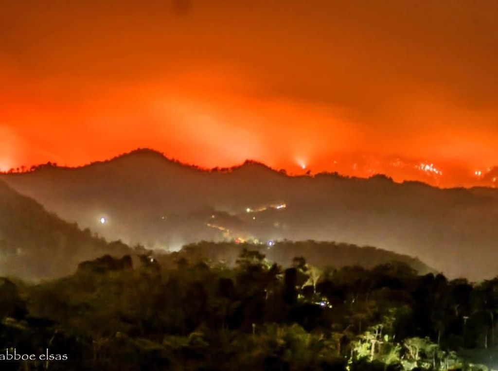 Lereng Gunung Argopuro Kembali Terbakar, Dua Tim Dikerahkan ke Lokasi Lereng Gunung Argopuro Kembali Terbakar, Dua Tim Dikerahkan ke Lokasi