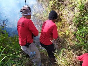 Kebakaran Melanda Hutan di Lereng Gunung Sumbing