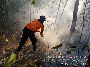 Ini Sebaran Titik Api di Gunung Rinjani