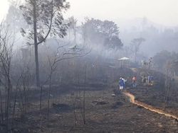 Pascakebakaran, Semua Jalur Pendakian Gunung Rinjani Ditutup