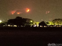 325 Hektare Lereng Gunung Wilis Terbakar, Petugas Terus Berupaya Padamkan