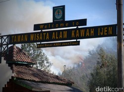 Kebakaran Lalap Enam Gunung di Jatim