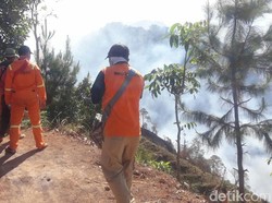 Hutan Alas Tengah Terbakar, Jalur Pendakian Gunung Argopuro Ditutup