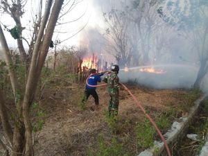 300 Hektar Lahan Terbakar di Gunung Tambora Berhasil Dipadamkan