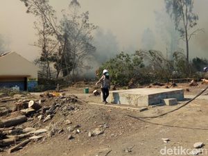 Setelah Gunung Ranti, Giliran Kawasan Kawah Ijen Terbakar Hebat
