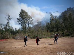 Imbas Kebakaran dan Badai, Pendakian ke Kawah Ijen Ditutup Imbas Kebakaran dan Badai, Pendakian ke Kawah Ijen Ditutup