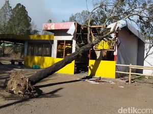 Tak Hanya Kebakaran, Kawasan Kawah Ijen Juga Diterjang Badai Tak Hanya Kebakaran, Kawasan Kawah Ijen Juga Diterjang Badai