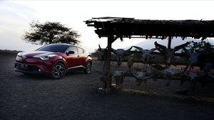 Toyota C-HR Hybrid Tawarkan Ketangguhan Mobil Ramah Lingkungan