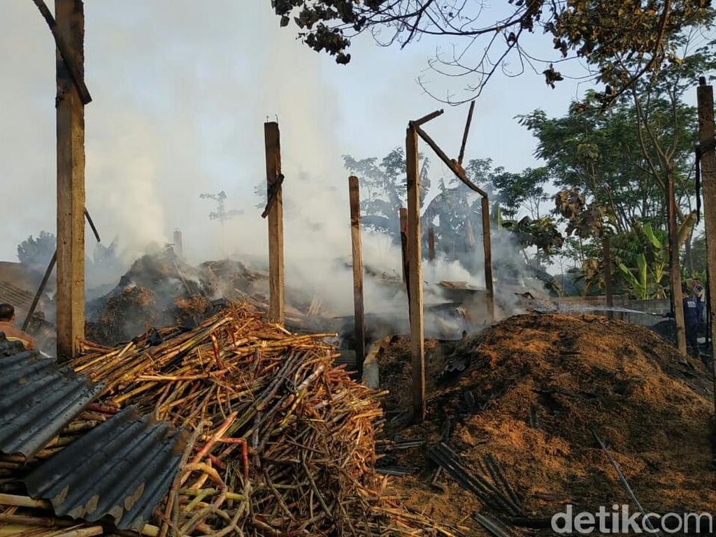 Pabrik Gula Rakyat di Tulungagung Ludes Terbakar Pabrik Gula Rakyat di Tulungagung Ludes Terbakar