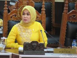 DPRD Sulsel Agendakan Paripurna Jadikan Andi Sudirman Gubernur Definitif