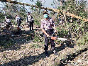 Personel TNI Polri Bersihkan TWA Kawah Ijen Usai Terbakar Hebat