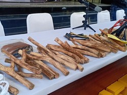 Rencanakan Gagalkan Pelantikan, Tersangka Siapkan Ketapel-Lepas Monyet di DPR