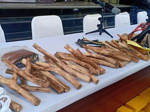 Rencanakan Gagalkan Pelantikan, Tersangka Siapkan Ketapel-Lepas Monyet di DPR Rencanakan Gagalkan Pelantikan, Tersangka Siapkan Ketapel-Lepas Monyet di DPR