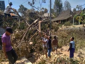 Melihat Dampak Kerusakan Akibat Angin Kencang di Lereng Merapi