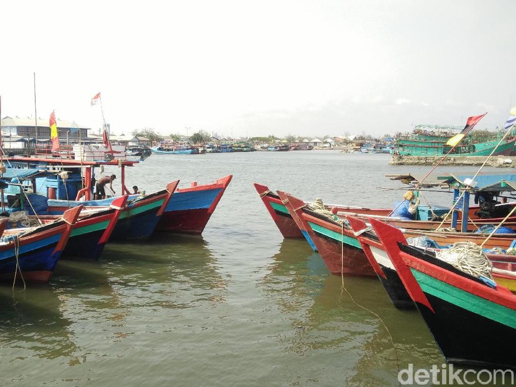 Pakar Sebut Masa Depan Pangan Indonesia Ada di Lautan, Ini Sebabnya Pakar Sebut Masa Depan Pangan Indonesia Ada di Lautan, Ini Sebabnya