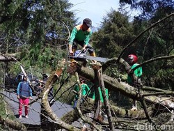Begini Dampak Angin Kencang Campur Debu di Dataran Tinggi Dieng