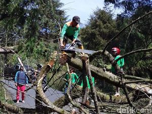 Begini Dampak Angin Kencang Campur Debu di Dataran Tinggi Dieng Begini Dampak Angin Kencang Campur Debu di Dataran Tinggi Dieng