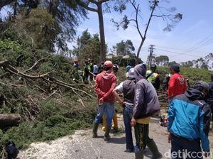 Angin Kencang Pangalengan: 1.200 Rumah Rusak dan 700 Pohon Tumbang