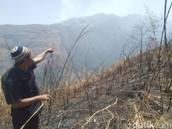 65 Hektare Hutan di Gunung Anjasmoro Jombang Terbakar