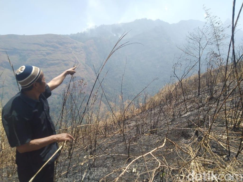65 Hektare Hutan di Gunung Anjasmoro Jombang Terbakar 65 Hektare Hutan di Gunung Anjasmoro Jombang Terbakar