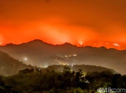 Pemadaman Api di Argopuro Terkendala Angin Kencang dan Medan Terjal