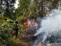 Pemadaman Kebakaran Hutan di Dieng Terkendala Medan Terjal