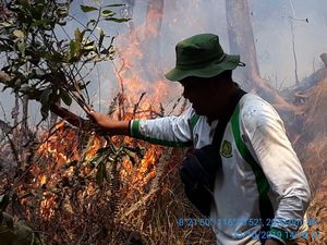 Hutan Gunung Rinjani Terbakar Hebat, Semua Pendaki Selamat