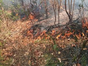 Sejumlah Titik Api di Gunung Wilis Sisi Utara Sudah Padam