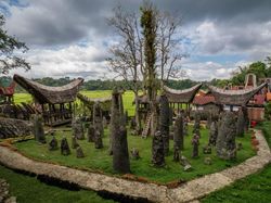 Berita Harian Tana Toraja Terbaru Dan Terlengkap