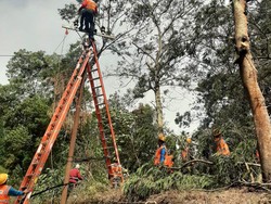 Angin Kencang di Batu, 1.015 Pelanggan PLN Alami Pemadaman