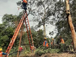 Angin Kencang di Batu, 1.015 Pelanggan PLN Alami Pemadaman Angin Kencang di Batu, 1.015 Pelanggan PLN Alami Pemadaman