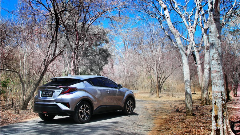 Foto: dok. Toyota Foto: dok. Toyota