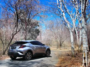 Harga Mobil Hybrid Turun, Diler Bisa Jual Lebih Banyak